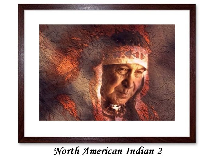 North American Indian Framed Prints